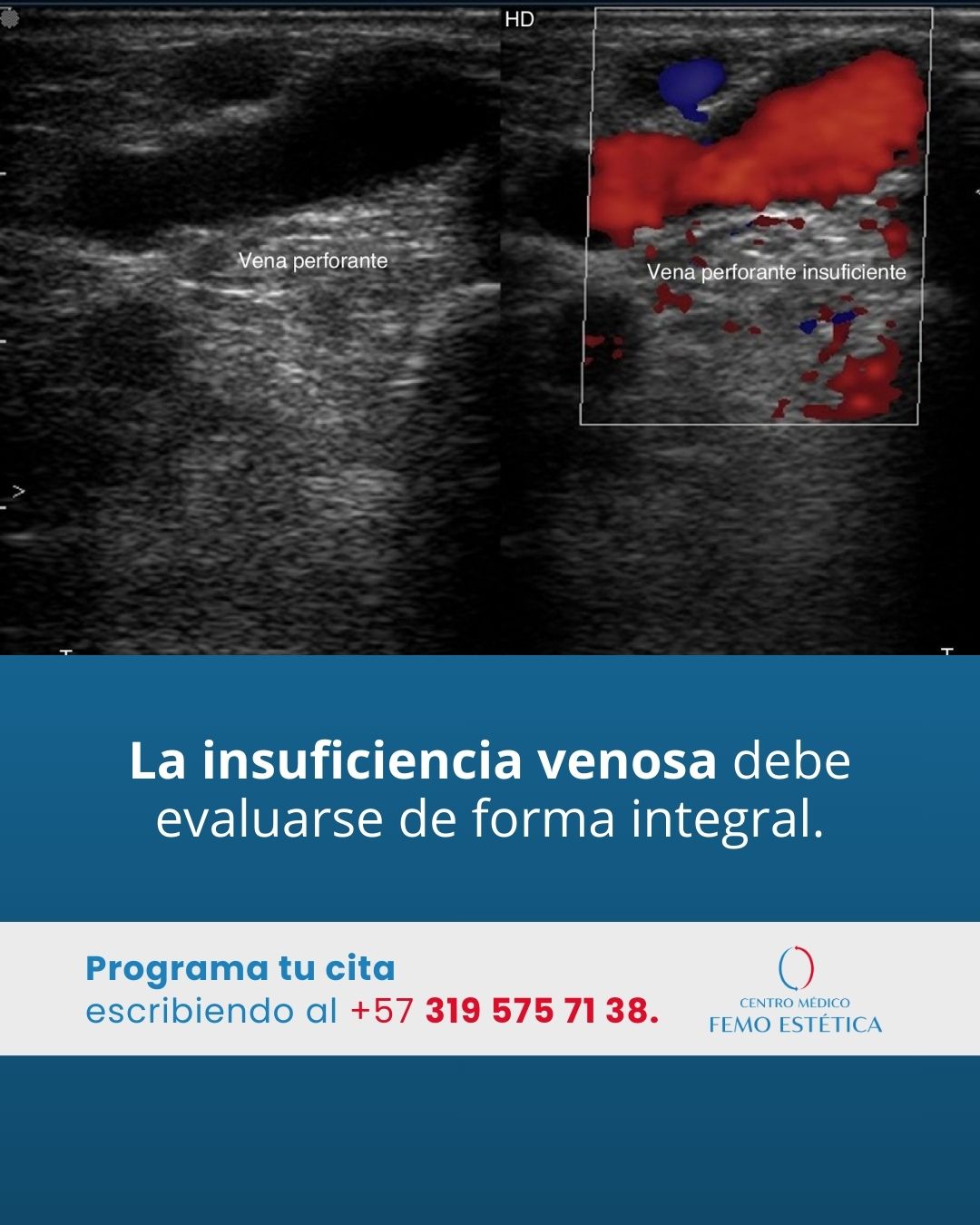 Contenido Social